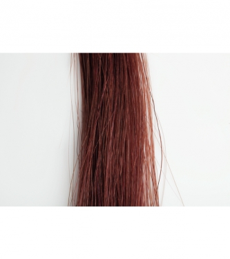 < 2,9 x 40 cm > ClipOn - Rood/Bruin